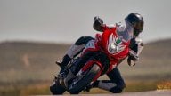 Moto - Noticias: MV Agusta 2022: Reparto Corse, "racing" para todos