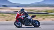 Moto - Noticias: MV Agusta 2022: Reparto Corse, "racing" para todos